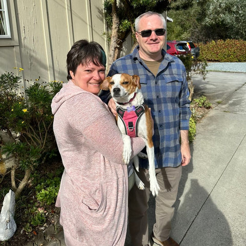 Biscuit Over 400 days in Foster Care!