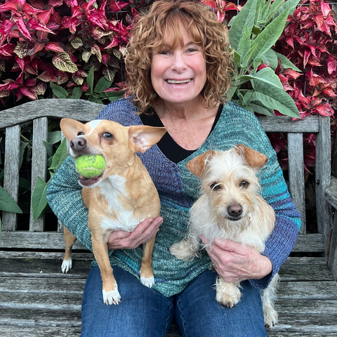 Dash's 532 Days in Foster Care