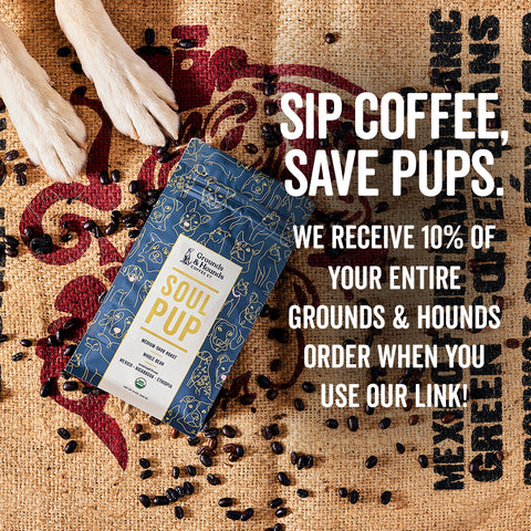 Grounds & Hounds Coffee