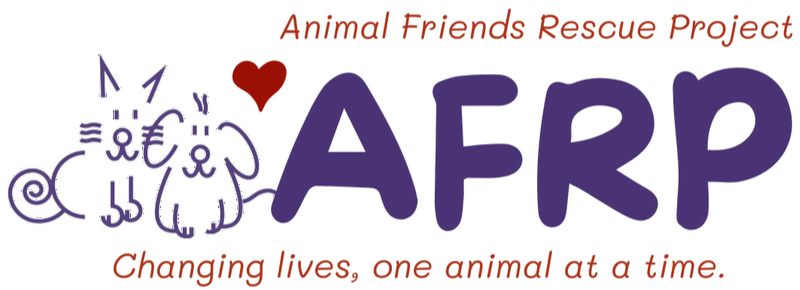 Animal Friends Rescue Project