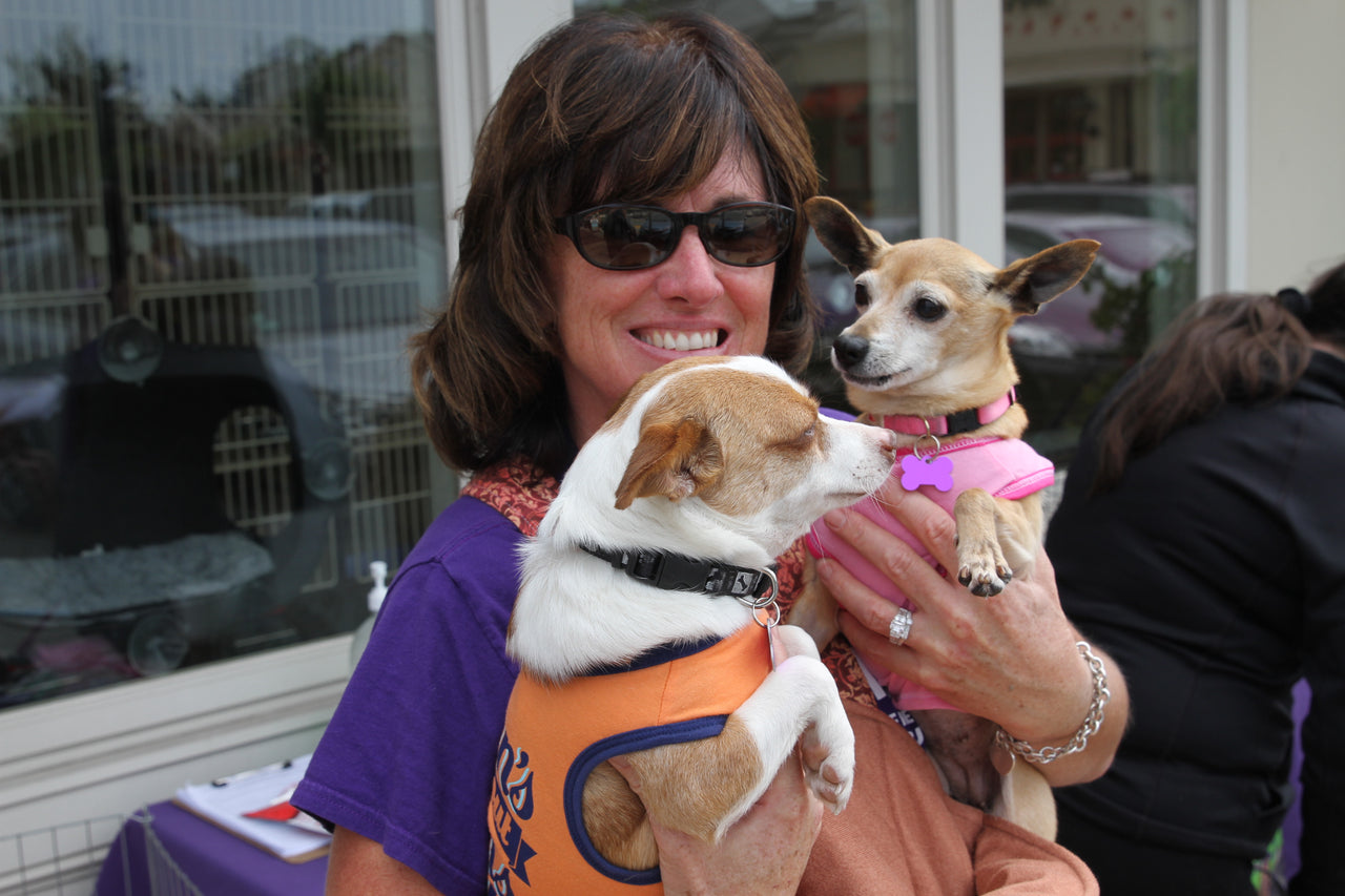 Foster a Pet – Animal Friends Rescue Project