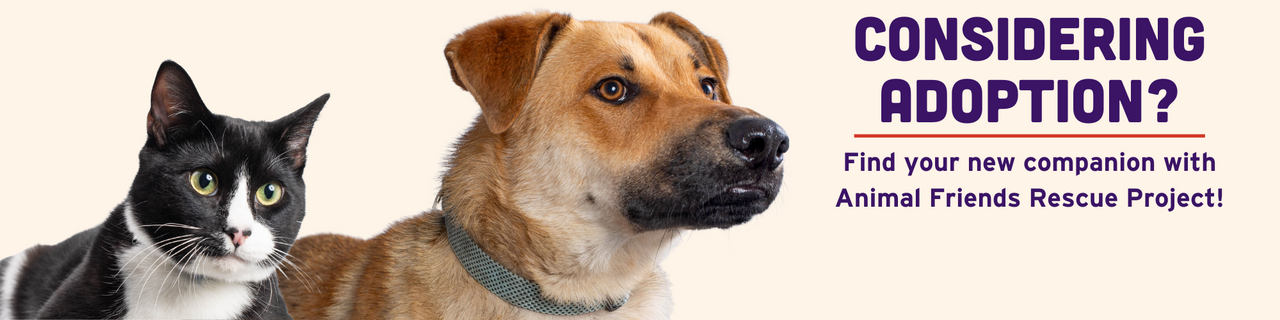 Animal Friends Rescue Project